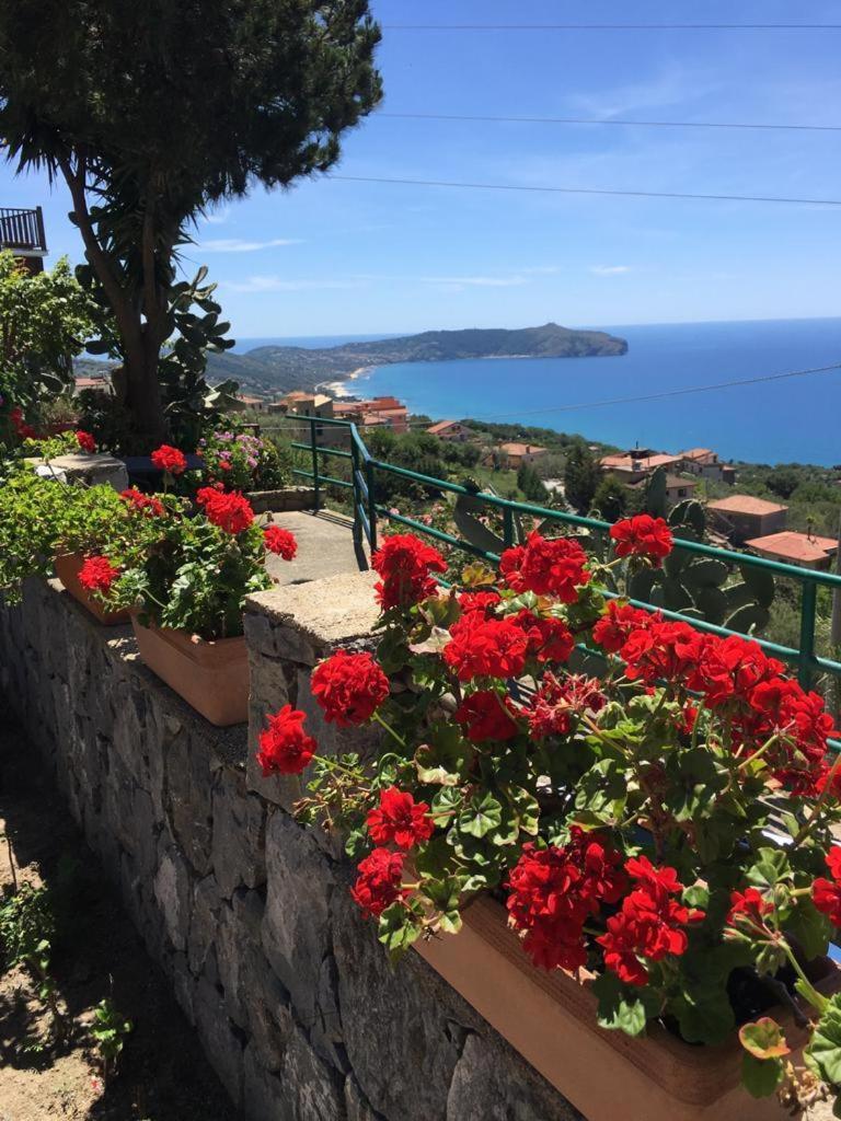 Villa Incanto B&B Caprioli Extérieur photo