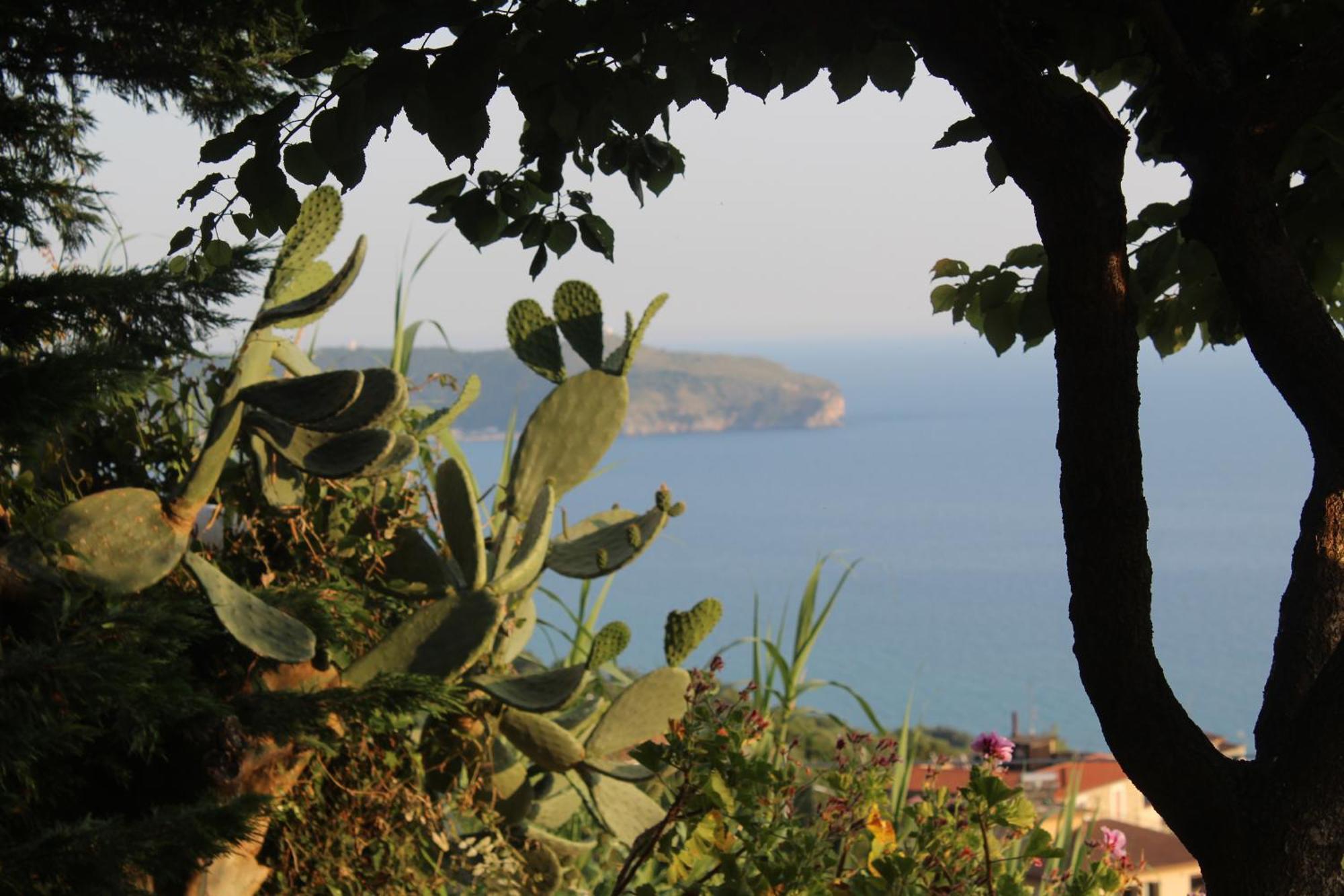 Villa Incanto B&B Caprioli Extérieur photo
