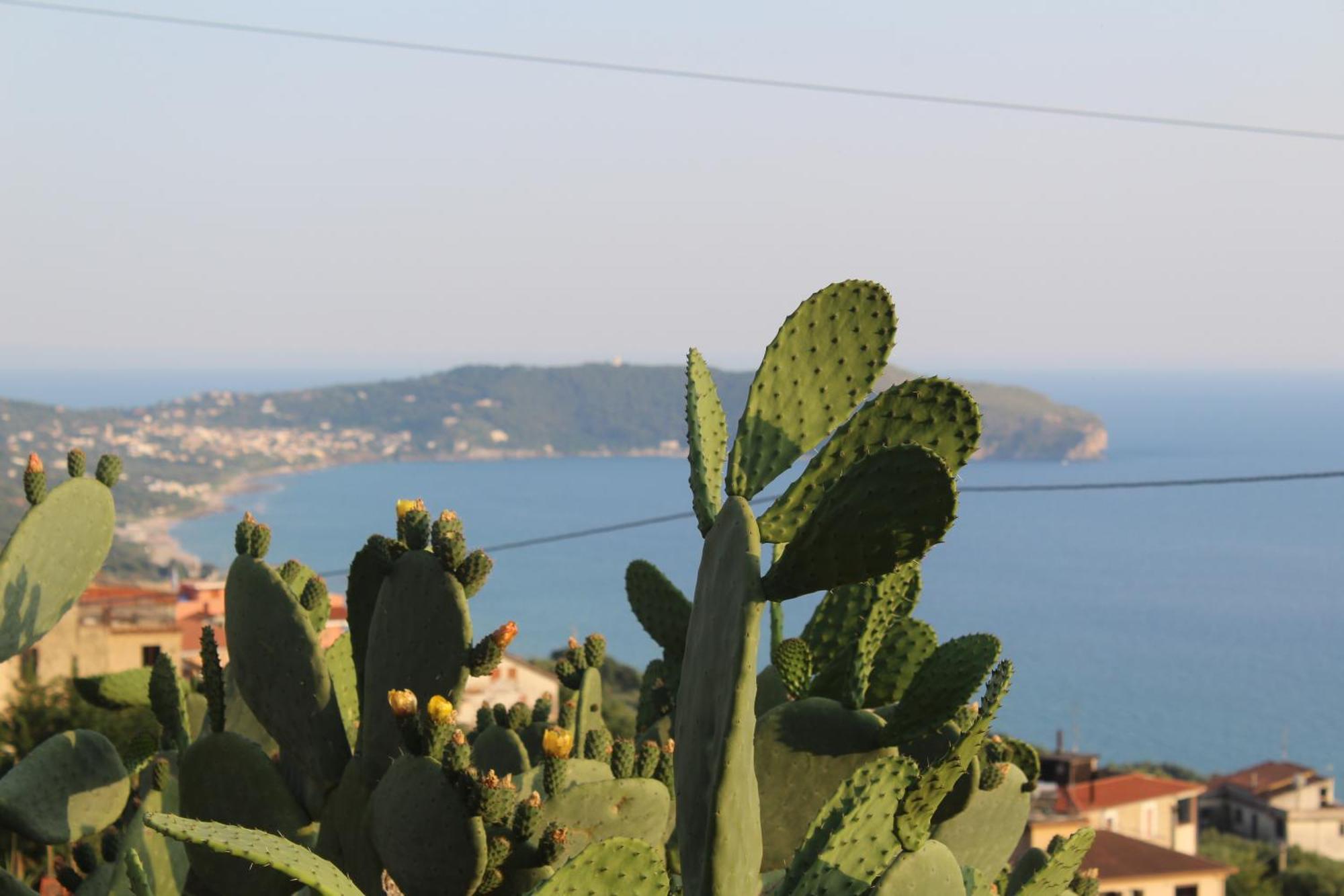 Villa Incanto B&B Caprioli Extérieur photo